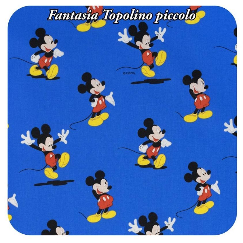 fantasia Topolino piccolo